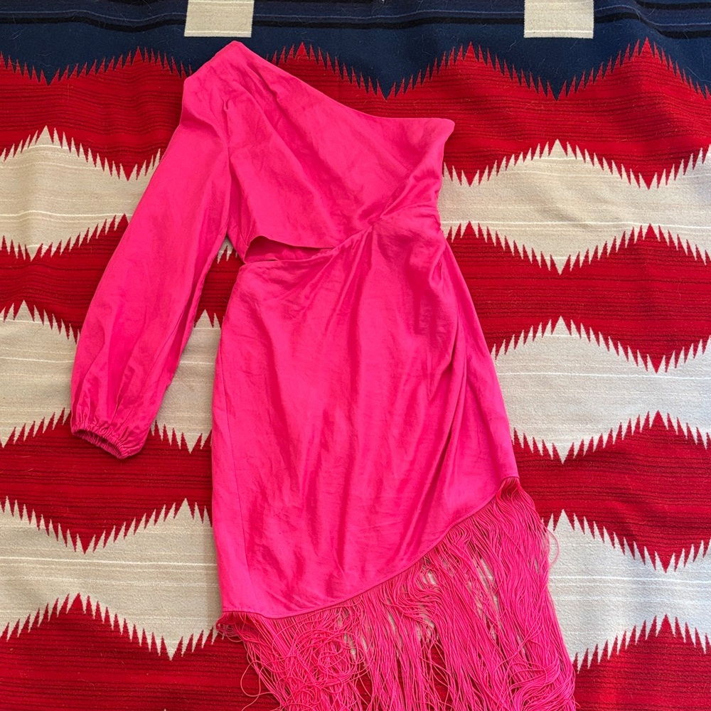 Los Angeles Atelier & Other Stories women’s pink asymmetrical fringe dress